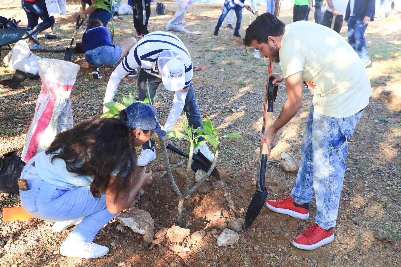 Son restauradas áreas verdes en Villas del Sol – H. Ayuntamiento de Solidaridad