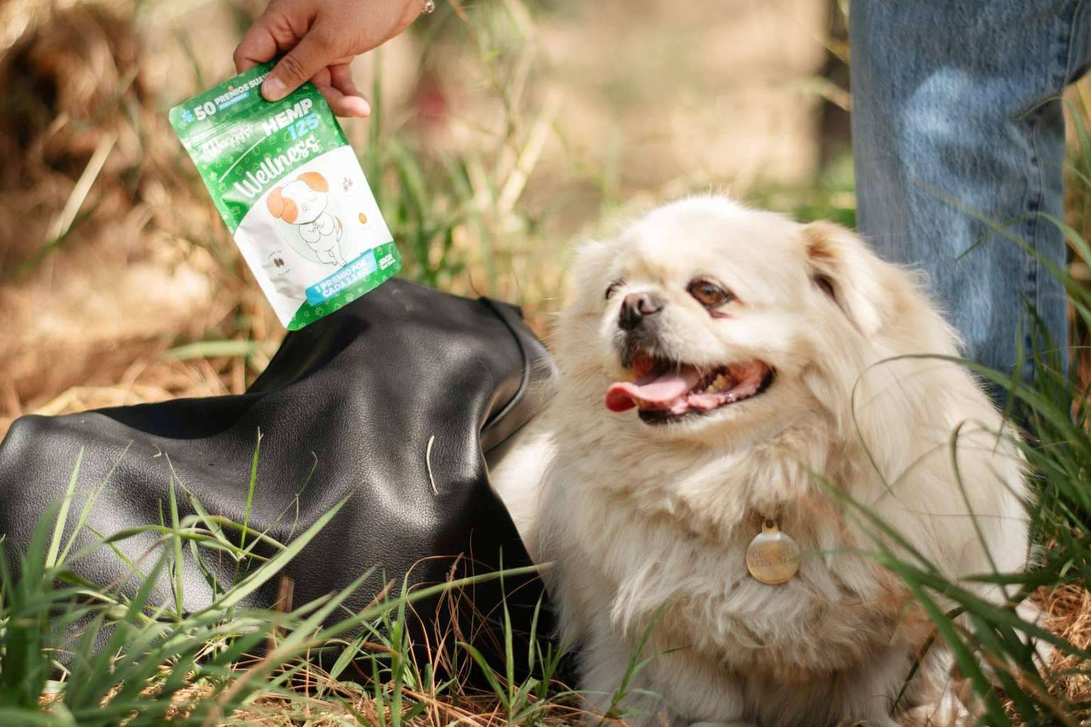 El uso de CBD en mascotas