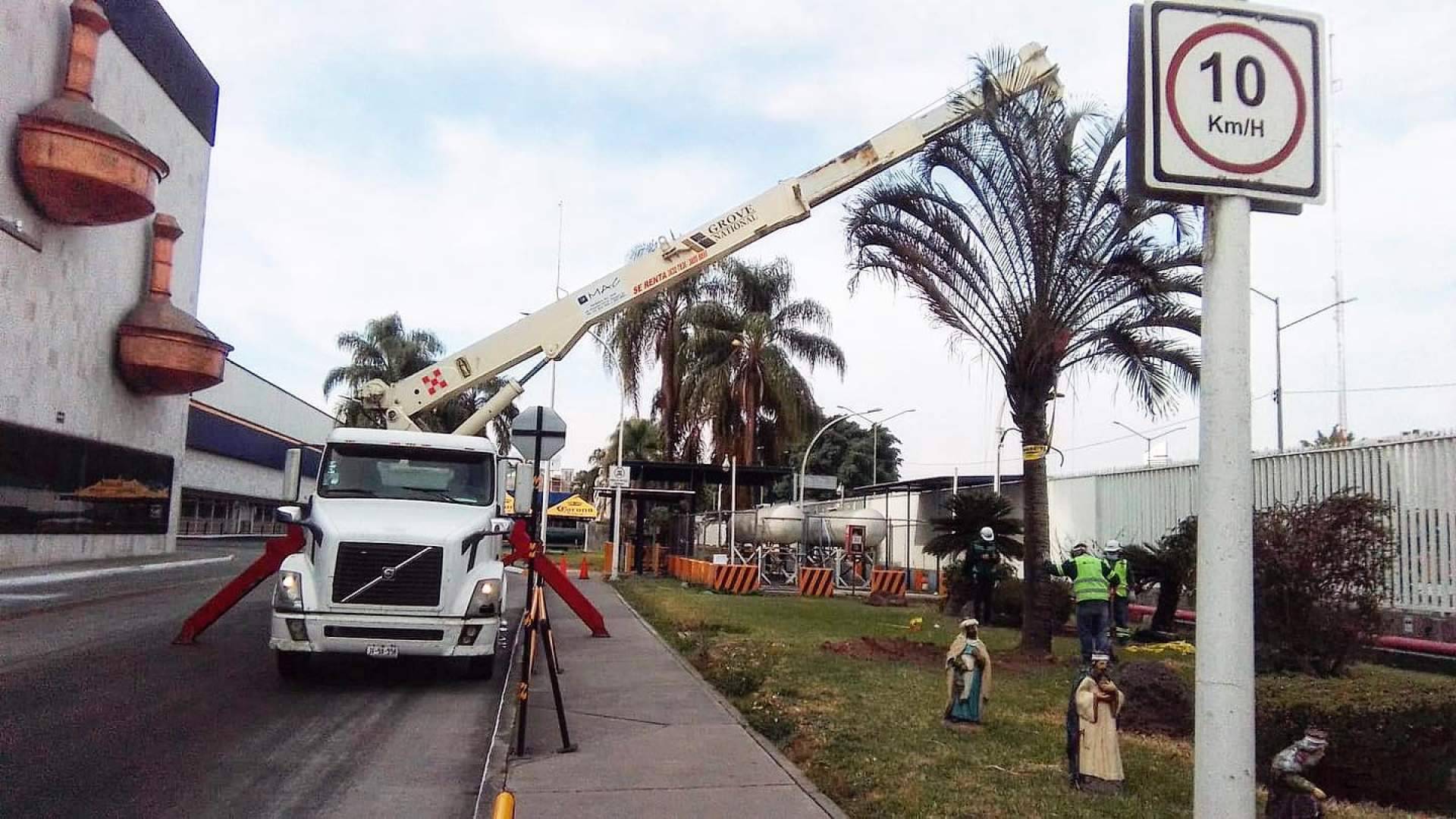 Grúas industriales en México; La Fuerza que empuja el país